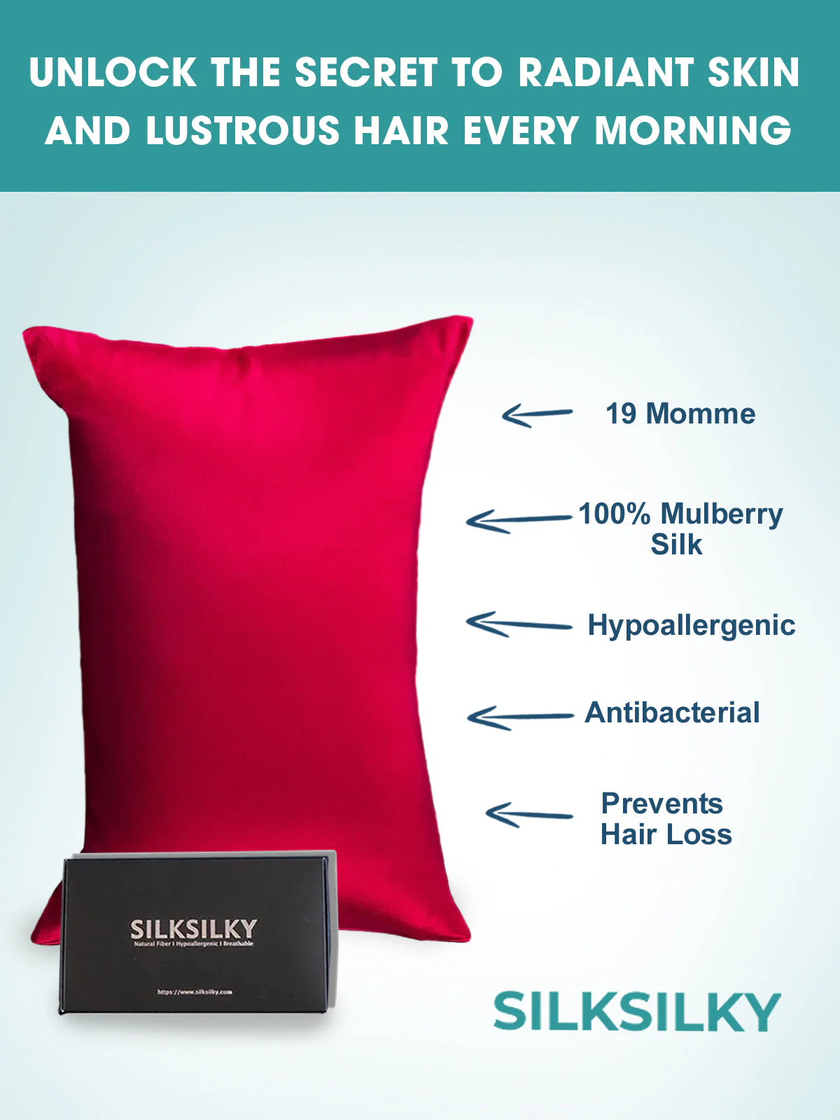 19Momme 100% Mulberry Silk Pillowcase - Envelope Closure - Image 24